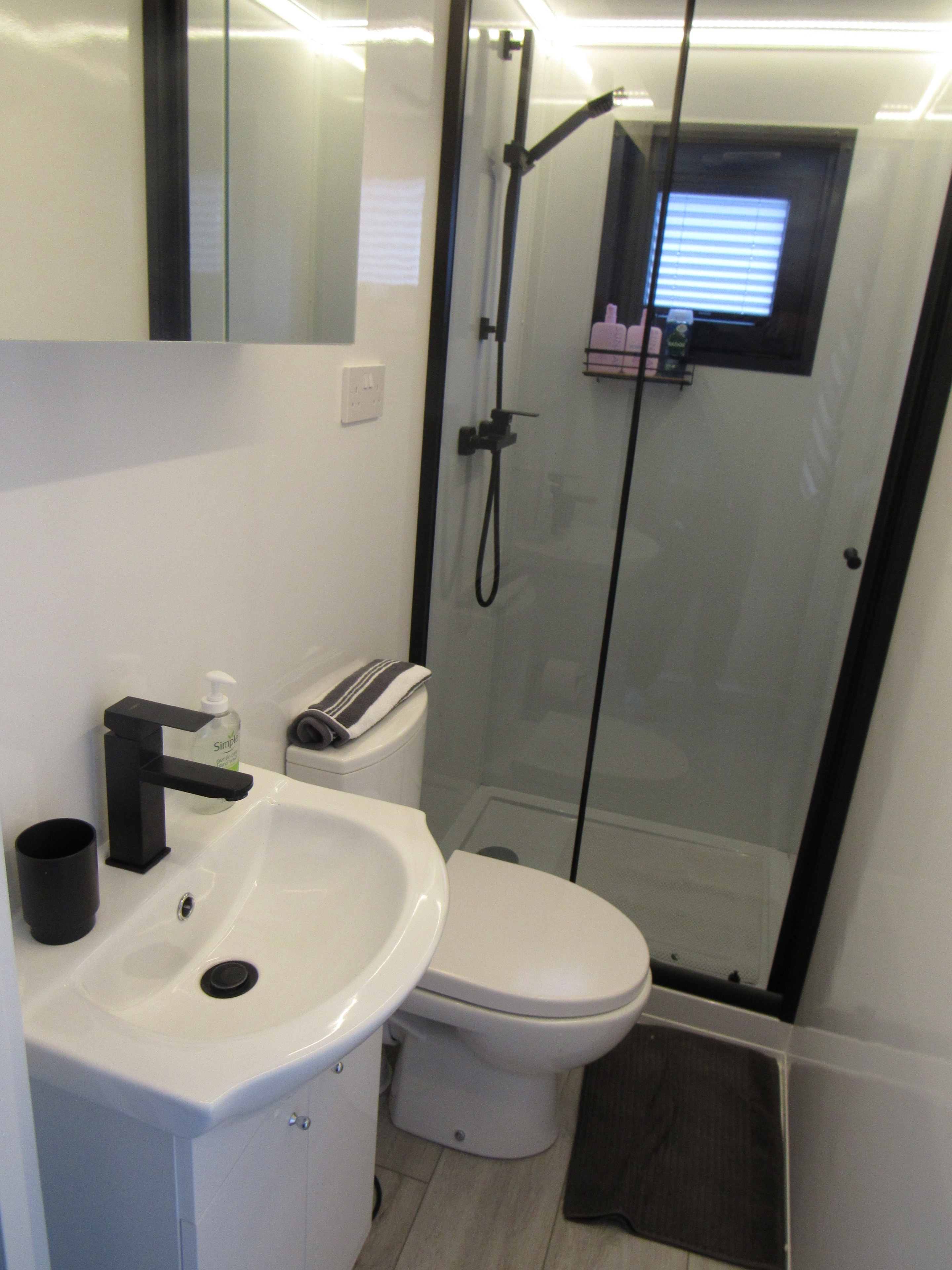 Overhead view of the bathroom showing sink, toilet and glass shower enclosure